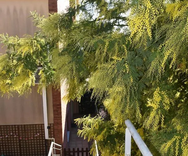 Miramar Panoramic Views *