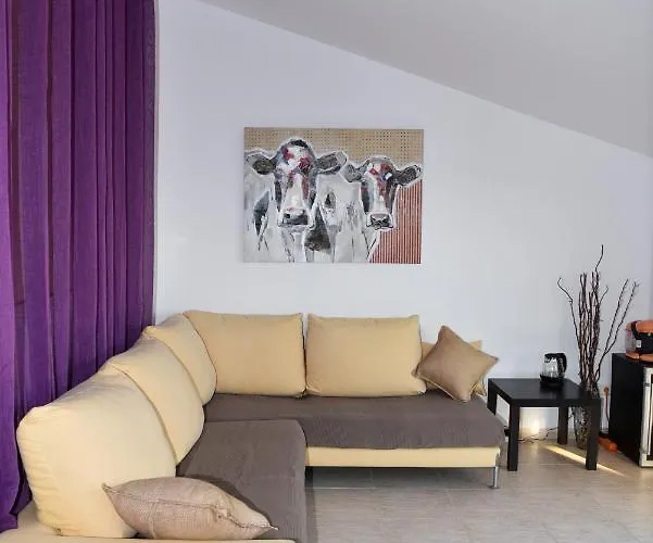 Miramar Panoramic Views 别墅 圣苏珊娜